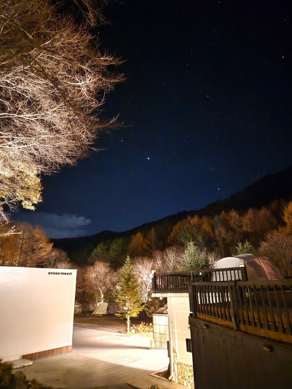 강원도 평창 감성적인 전나무숲 개별화장실 캠핑장, 휘게포레스트