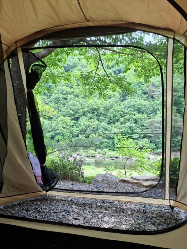 5월마지막주  강원도 영월 정원캠핑장에서   텐트쳤네요