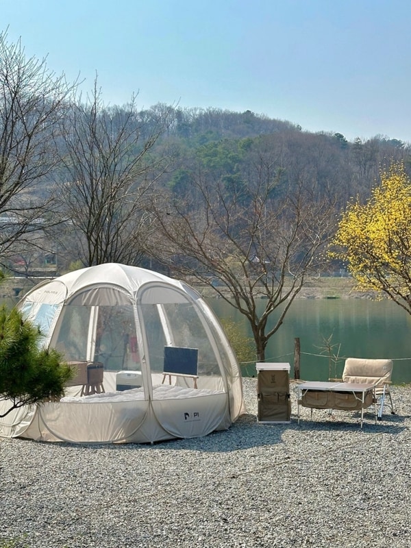 [안성]용설호수 캠핑장(+모든 사이트 사진 포함)ㅣ벚꽃캠 대신...