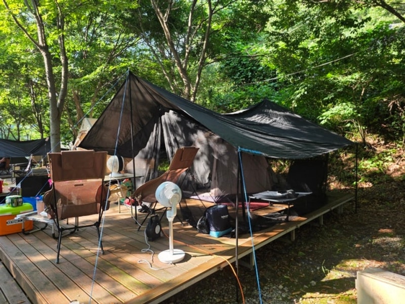 가평 계곡, 강아지 동반 캠핑장 " 캠핑소리251 "