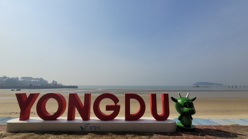 보령 용두해수욕장 동백관숲속야영장 데크30번 - 2박3일...