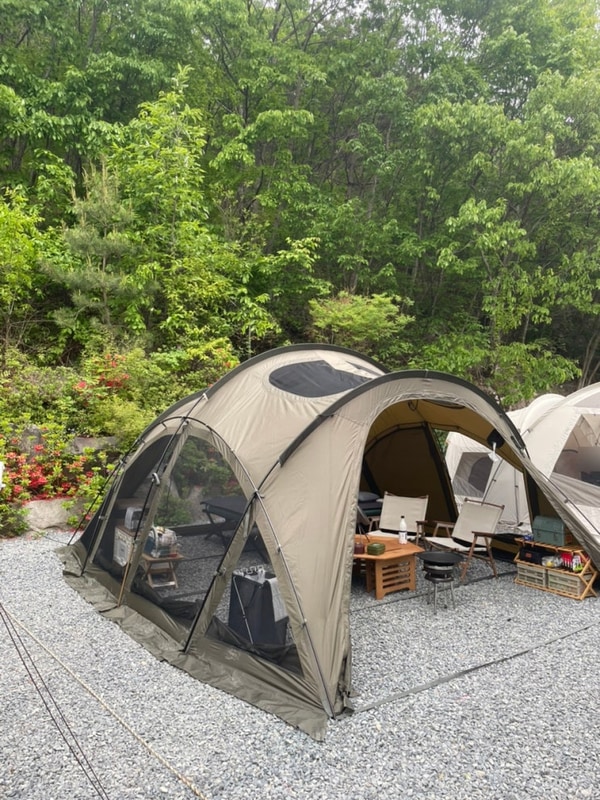 [경북/청도] 애견동반 가능한 신생 계곡 캠핑장 : 포레스테이...