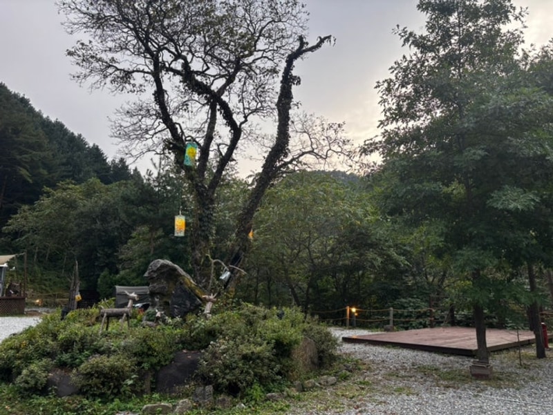 홍천 힐링 캠핑장 추천,그린필로우 캠핑장