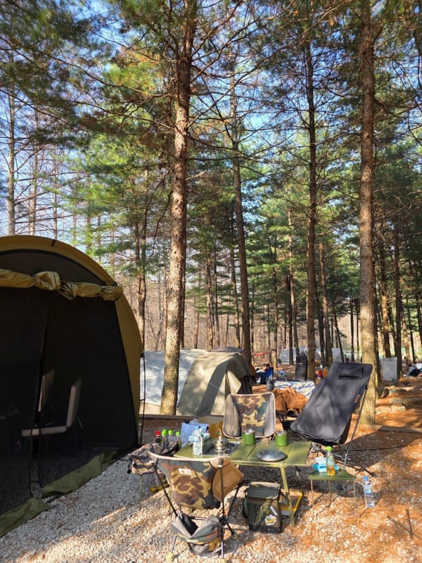 포천 잣나무 숲 속 캠핑장 추동캠프_봄 날씨 만끽한 A-8...
