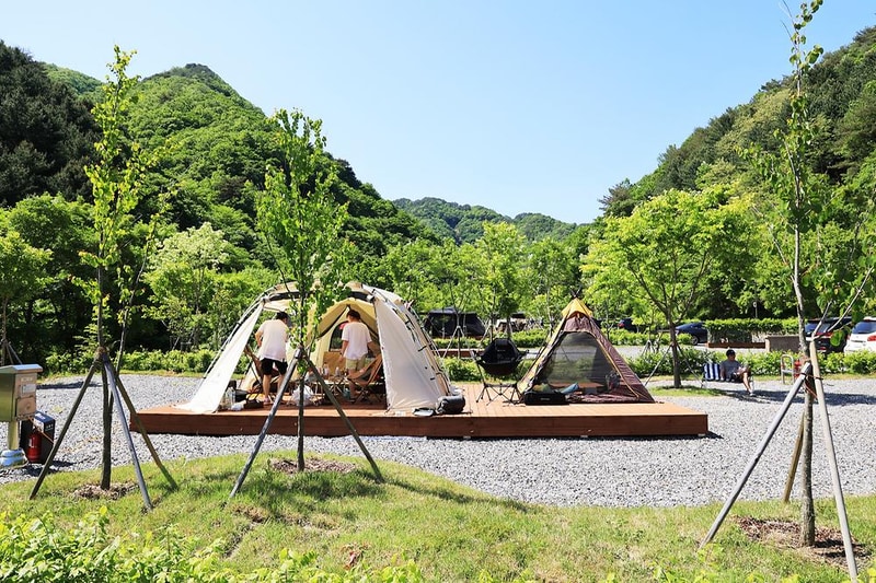 갯골자연휴양림 야영장 시설 사진 18