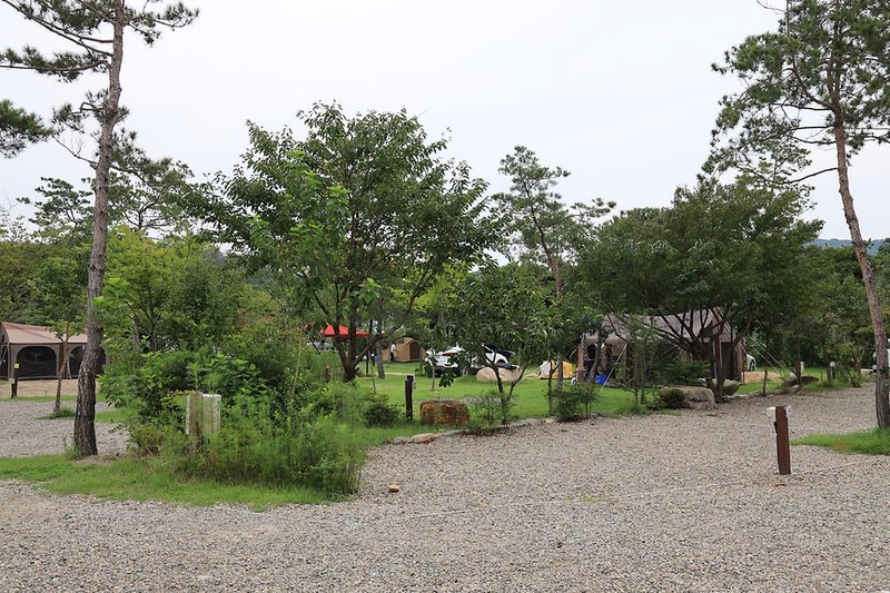 용천수캠핑장 시설 사진 14