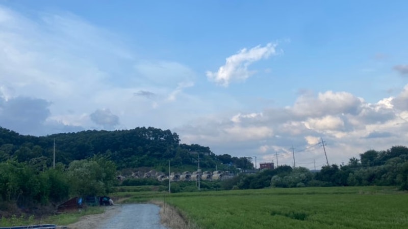 [연천] 임진강 햇살 글램핑 솔직후기