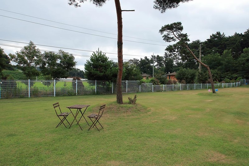 파라독스 애견펜션 / 돔글램핑&오토캠핑장 시설 사진 17