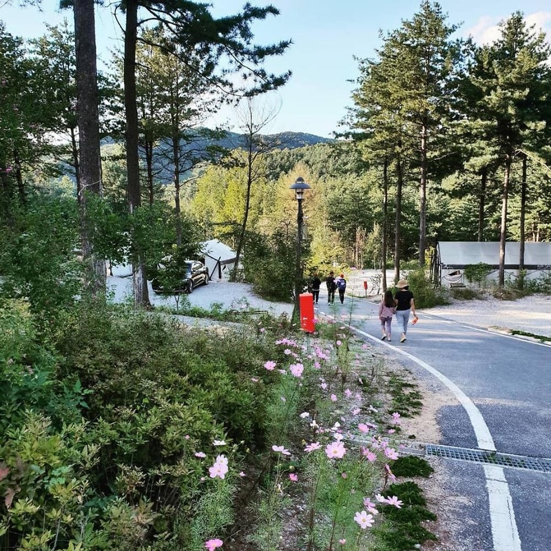 양평 다목적캠핑장 시설 사진 10