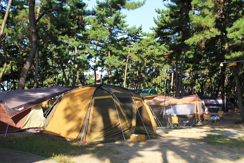 대천해수욕장 야영장 시설 사진 1