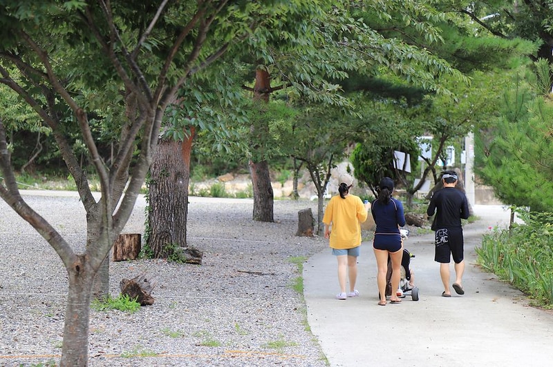 삼척엘림캠핑장 시설 사진 30