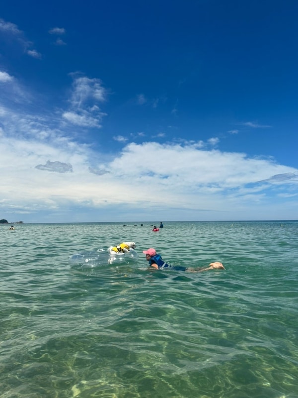 강원도 양양 애견동반 펫비치... 지경국민여가캠핑장 2박3일...