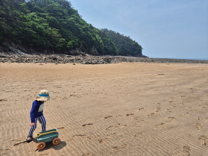 태안 구름포해변캠핑장 2박3일 캠핑 후기 -모항항 회센터...