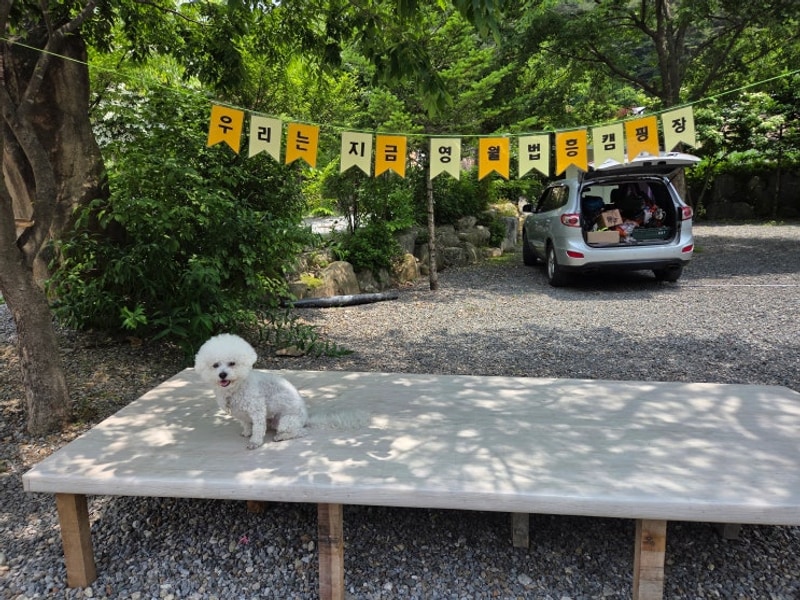 [여섯 번째 기록] 캠핑장에서 힐링(영월 법흥캠핑장)