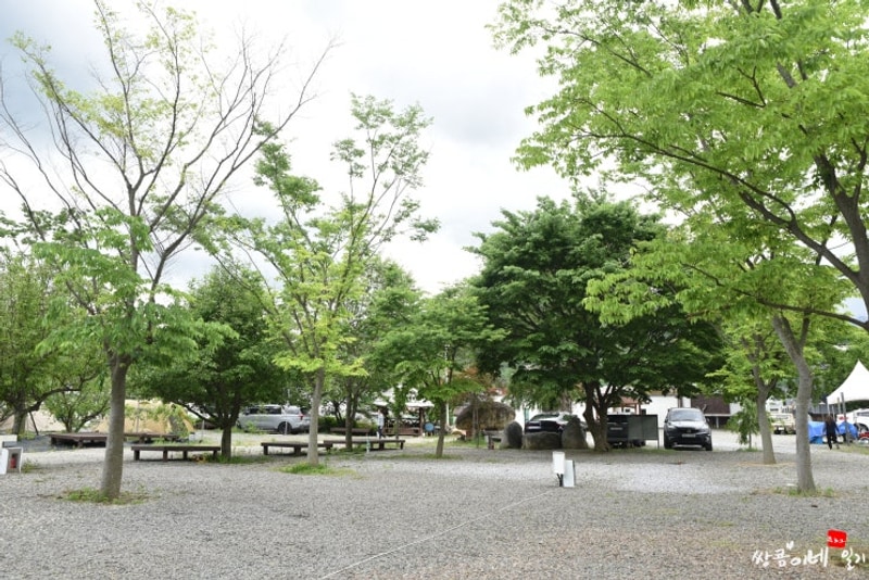203. 대구 인근 고령 캠핑장 예손캠핑장 차박후기