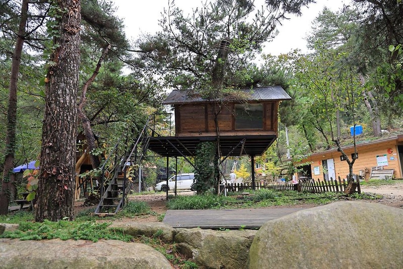 트리하우스계곡야영장 시설 사진 9