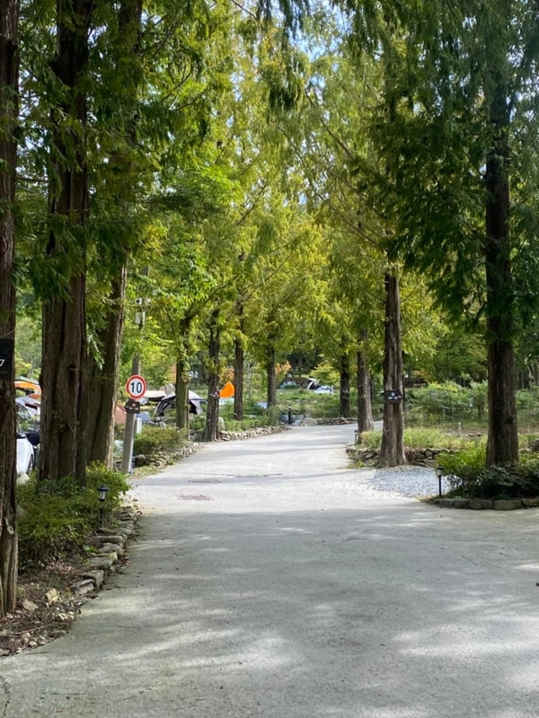 #4 [충남/예산] 스노우라인 캠핑빌리지 (2)