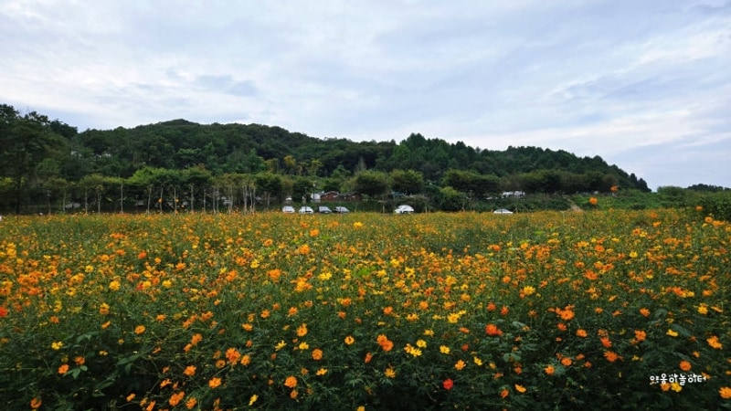 [2박 3일] 포천 화적연 캠핑장: 자연 속 힐링과 맛있는 캠핑...