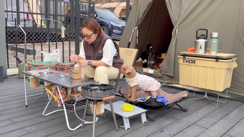 강아지의 날 애견 동반 솔캠 / 시흥 여우하우 야영장