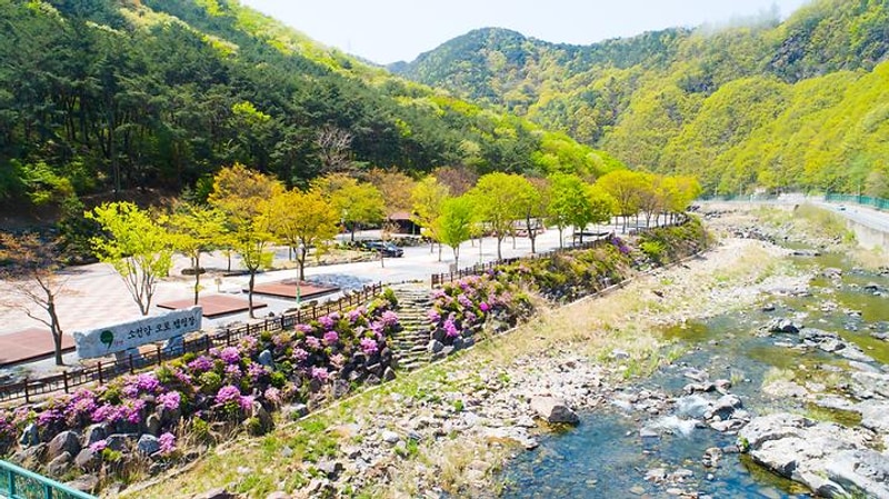 소선암 오토캠핑장 대표 사진
