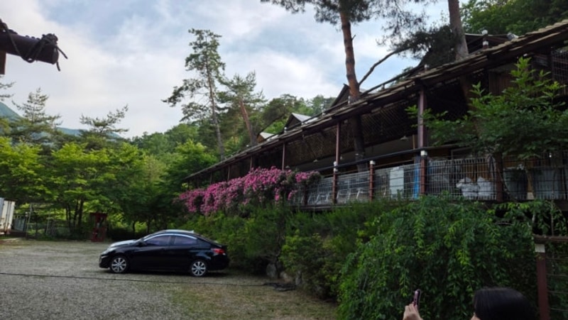 떠나는 수련회 같은 정겨운 캠핑장 글램핑장, 양평 산음캠핑