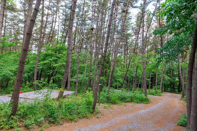 우니메이카 태안점 시설 사진 3