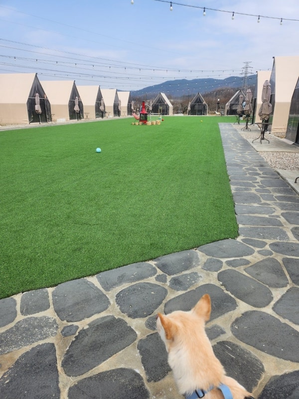 글램핑 느낌나는 평택 셀프바베큐장 "모닥모닥" 대형견가능