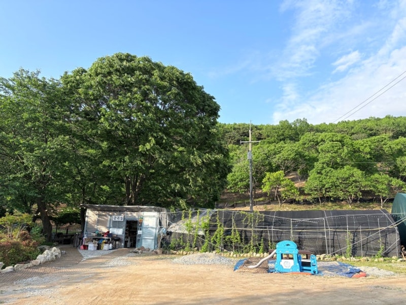 강화 고려산 힐링캠프오토캠핑장, 대가족캠핑(Feat.시부모님)