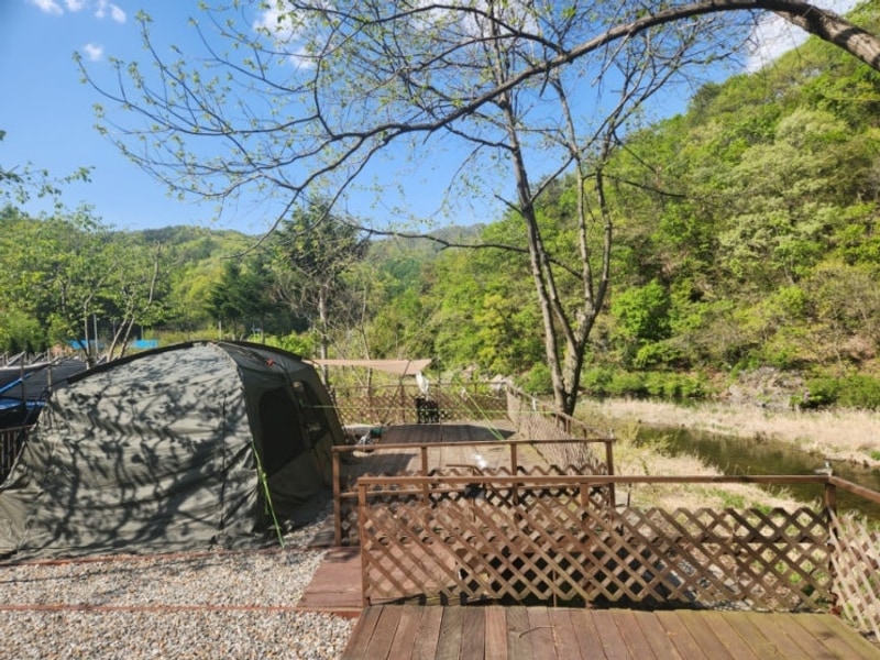 [강원도 횡성] 마중펜션 캠핑장 내돈내산 후기