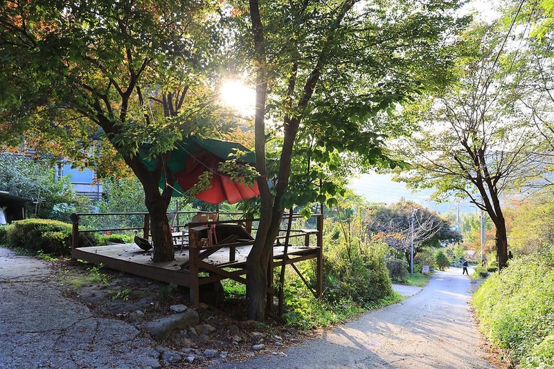 펫밀리애견파크타운 시설 사진 8