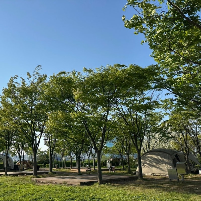 오산 맑음터공원 캠핑장 묻어다녀왔습니다 하트