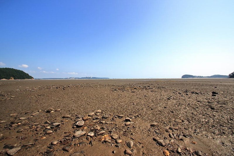 그림나래 힐링캠프 시설 사진 15