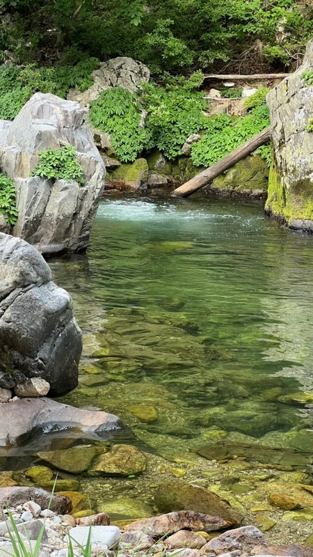[충북 단양] 계곡캠핑장을 찾는다면 캠프 우아(밸리뷰 8번)