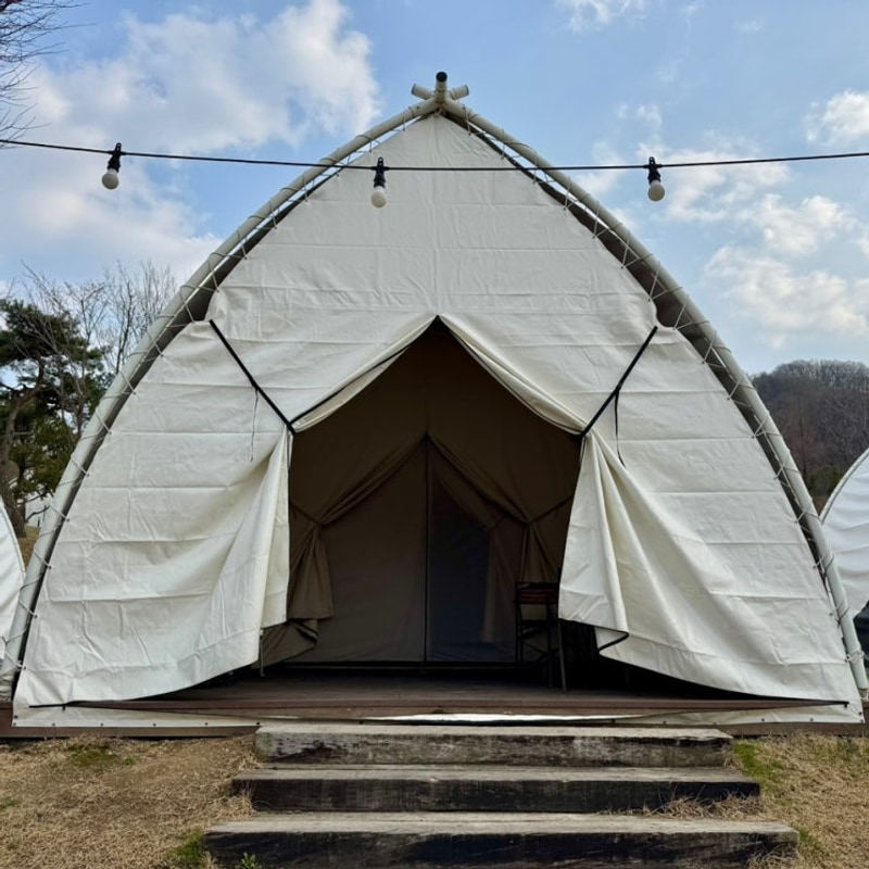 세종 전동 | 대전, 세종 근교 글램핑장 추천, "다온숲" (Feat.D-4...