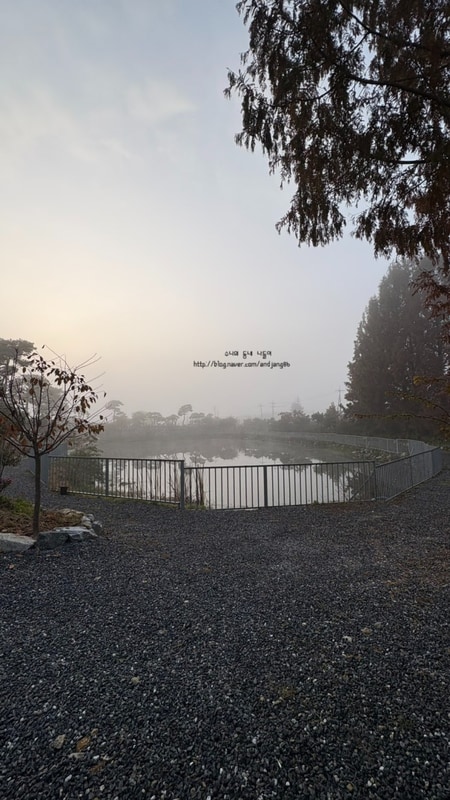 충주 애견동반 캠핑장 | 충주 이른아침캠핑장 | 타프존 31