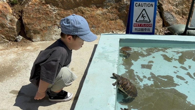 아기랑 당일치기로 가기 좋은 양주르 글램핑 캠핑장