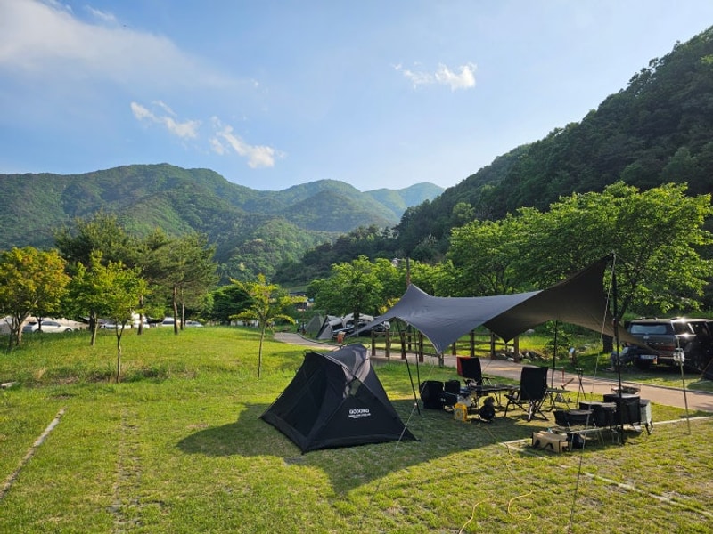 경북 성주 오토 캠핑장 '금수문화공원 야영장'