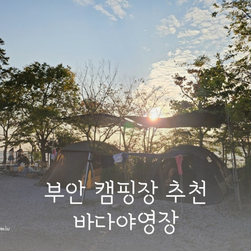 부안 숙소 바다야영장 노을맛집 변산반도 오션뷰 수영장...