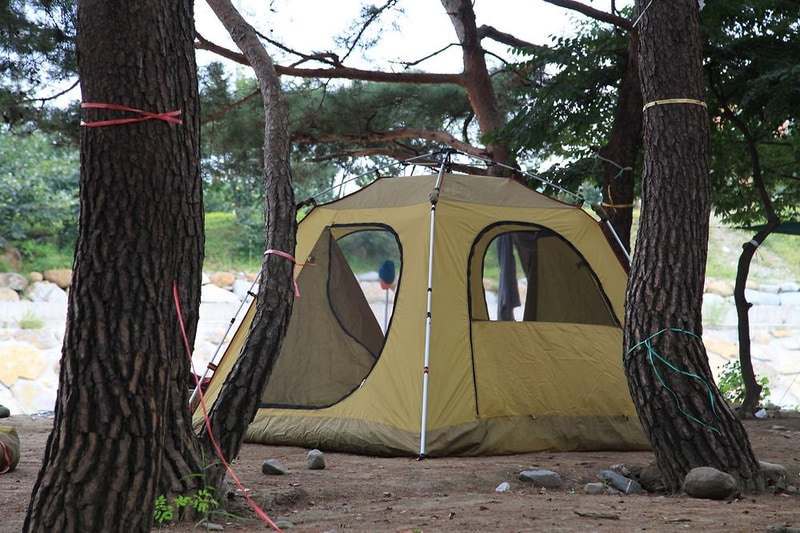 대포숲캠핑장 시설 사진 11