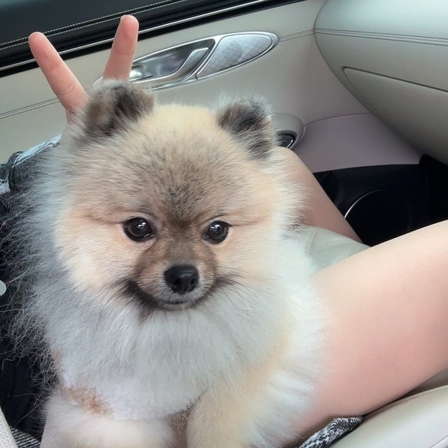 임진강 햇살 글램핑 대표 사진