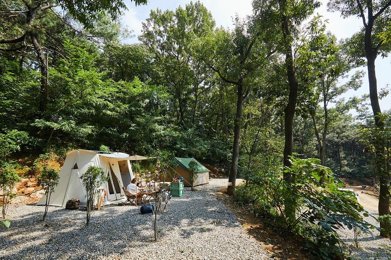 여울지숲속캠핑장 시설 사진 13