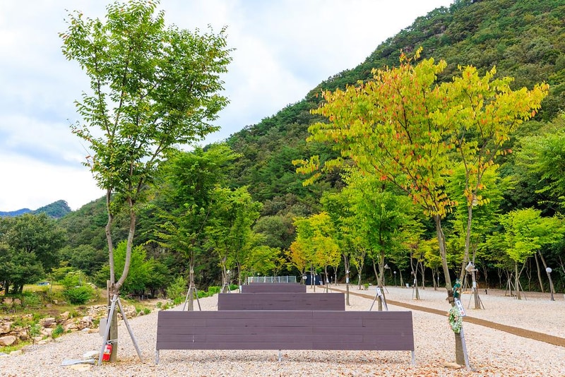 신월리 오토캠핑장 시설 사진 12