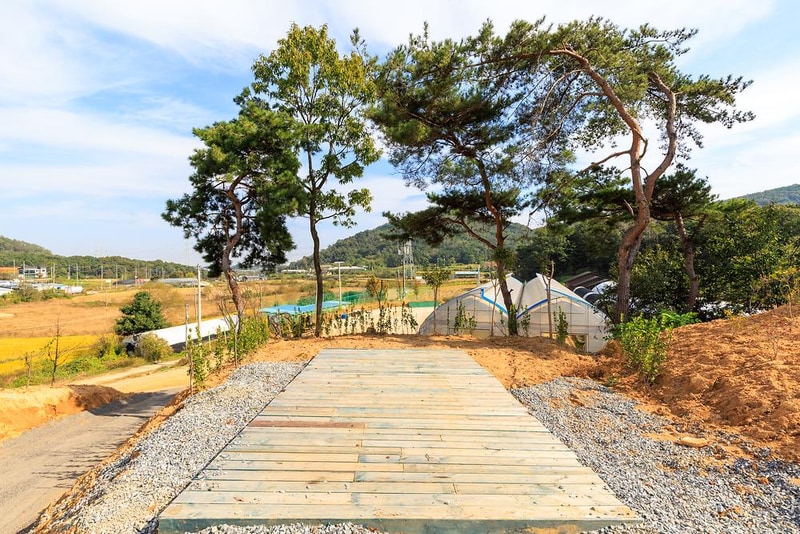 세제골농원 숲속야영장 시설 사진 20