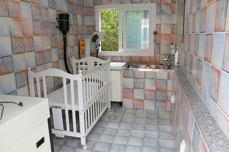 한별 도그파크 시설 사진 9