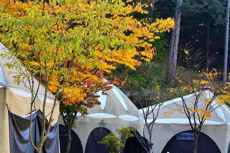 동물카라반 시설 사진 20