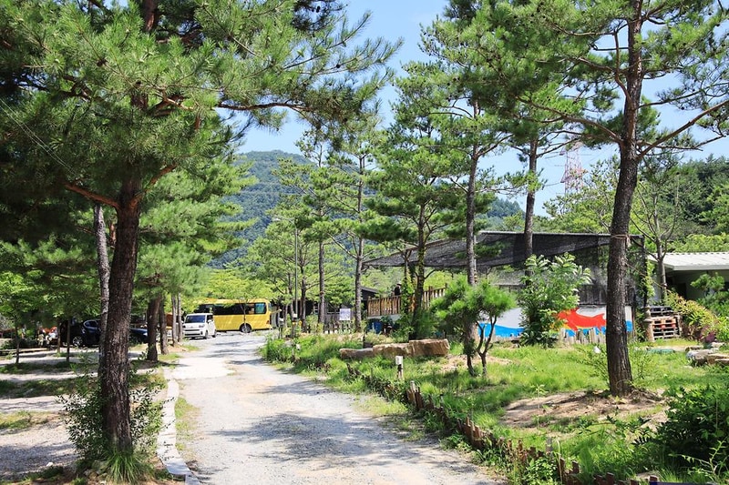 평창 보물섬캠핑장 시설 사진 3