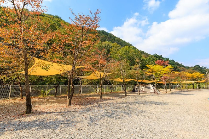 오솔길 오토 캠핑장 시설 사진 10