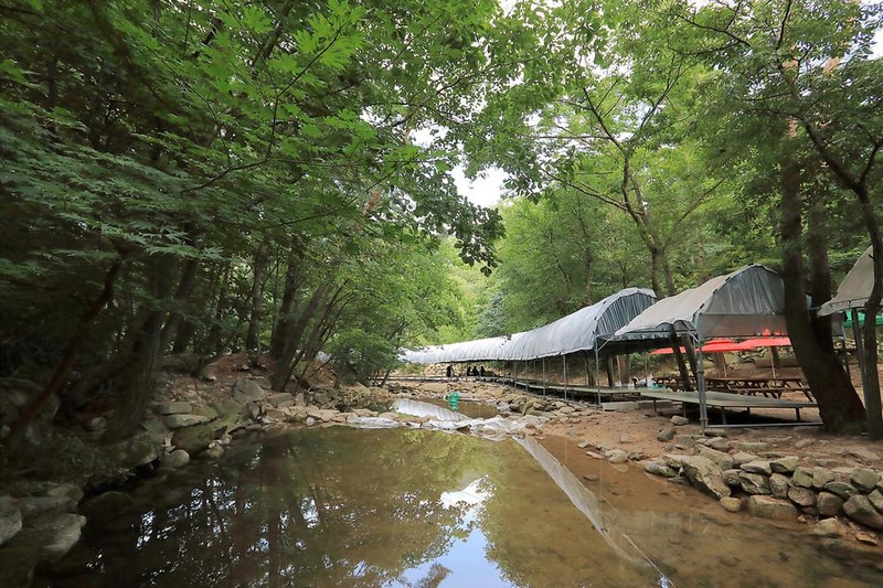 소나무숲아래 시설 사진 2