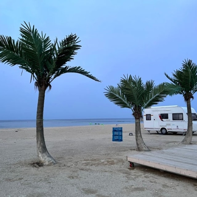 대진해수욕장 야영장 대표 사진