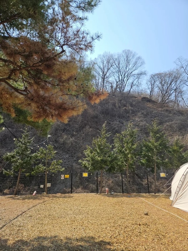 경주 양남 라라캠핑장 C2 정수기있는 캠핑장 추천